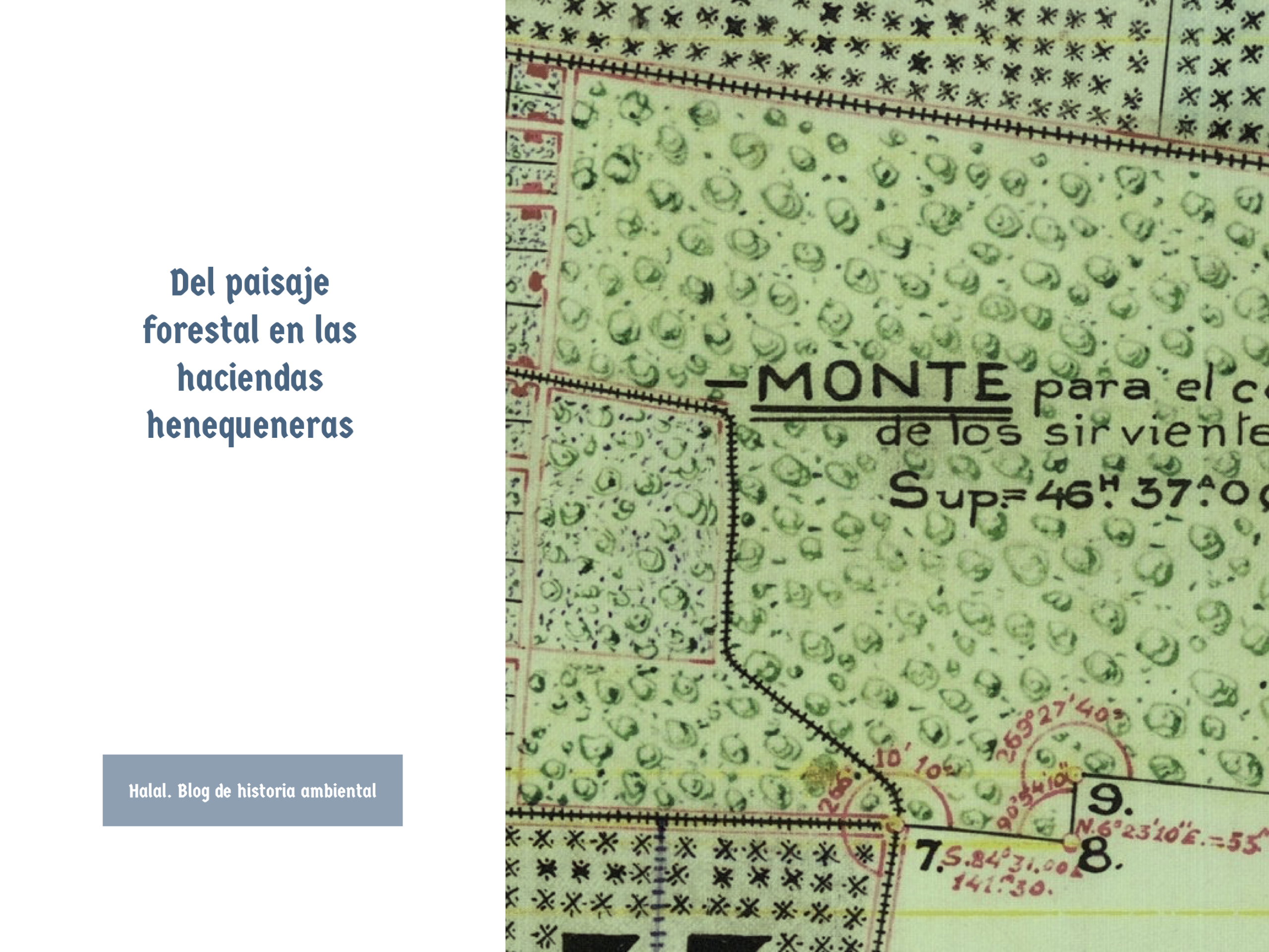 Del paisaje forestal en las haciendas henequeneras